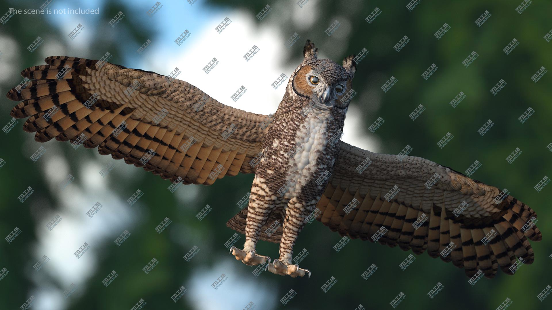 images/goods_img/202104022/Great Horned Owl T-Pose 3D model/4.jpg